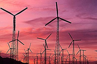 动物囚犯如何逃出生天？《动物迷城》限时试玩版现已上线